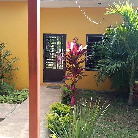 Casa Flores Bacalar Exteriör bild